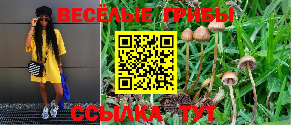 Семёнов  Псилоцибиновые грибы Psilocybine cubensis  Вход с VPN 