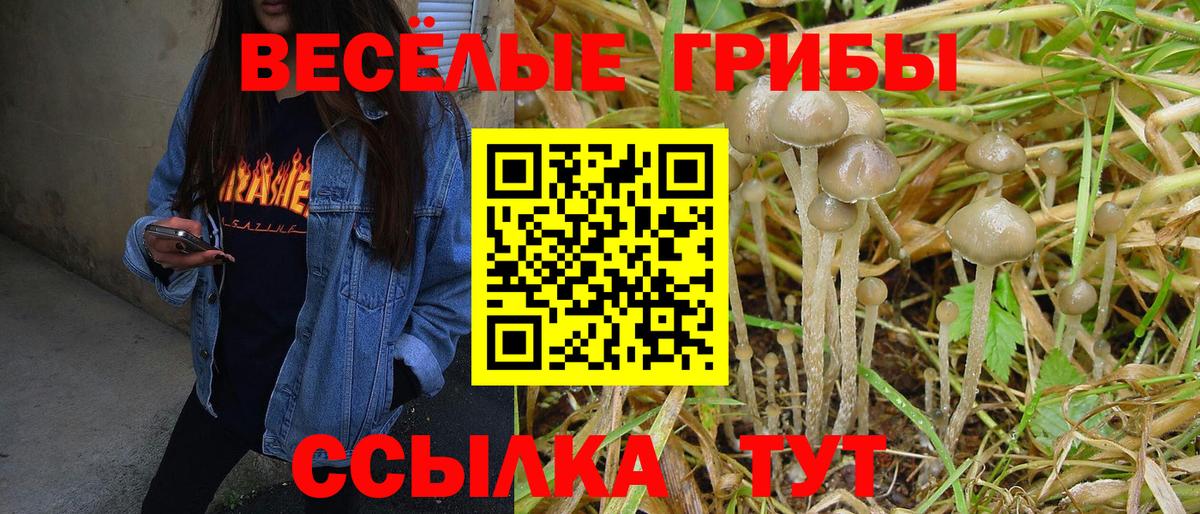 Псилоцибиновые грибы Psilocybine cubensis Семёнов